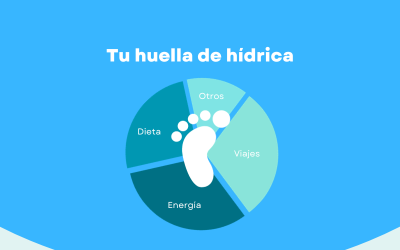 Publicación de Instagram Consumo Sostenible Cambio Climático Limpio y Corporativo Verde Azulado y Azul (1)